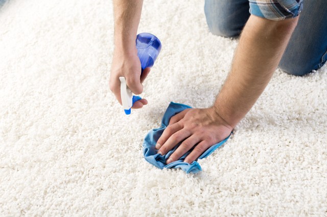 The Ultimate Guide to Affordable Carpet Care: Tips and Tricks
